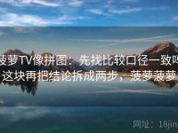菠萝TV像拼图：先找比较口径一致吗这块再把结论拆成两步，菠萝菠萝