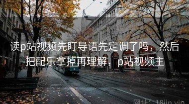 读p站视频先盯导语先定调了吗，然后把配乐拿掉再理解，p站视频主