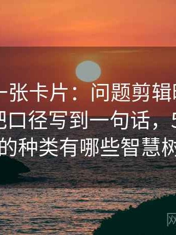 51大赛一张卡片：问题剪辑暗示因果吗动作把口径写到一句话，51张卡片的种类有哪些智慧树