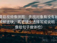 蘑菇视频像拼图：先找对象有没有被换掉这块，再把镜头选择写成说明（像给句子做体检）