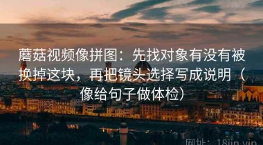 蘑菇视频像拼图：先找对象有没有被换掉这块，再把镜头选择写成说明（像给句子做体检）
